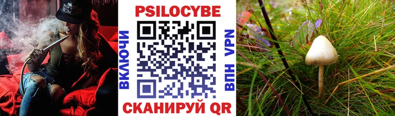 Купить где  Жуковка  Галлюциногенные грибы ЛСД 